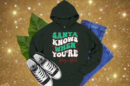 Santa Knows You're Being A Bitch- TEES