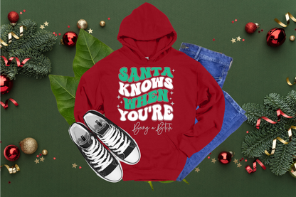 Santa Knows You're Being A Bitch- TEES