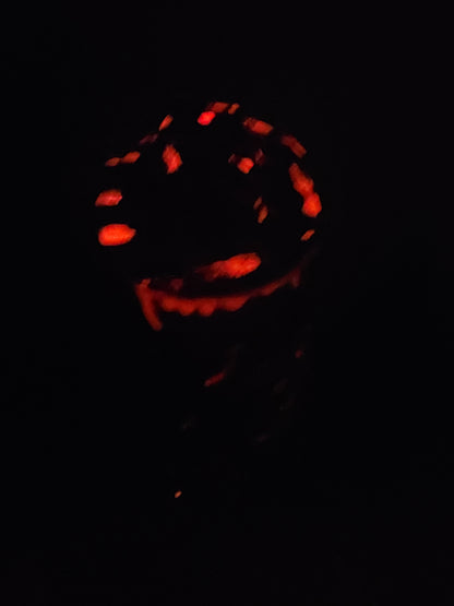 Glowing Freddy Cup W Magnetic Hat Topper